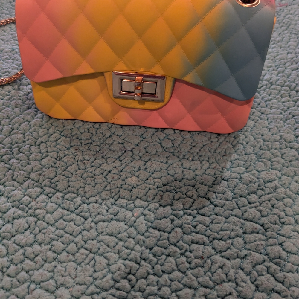 Multicolor Quilted Women's Bag